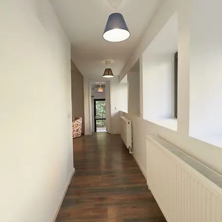 Stanford * בוקרשט