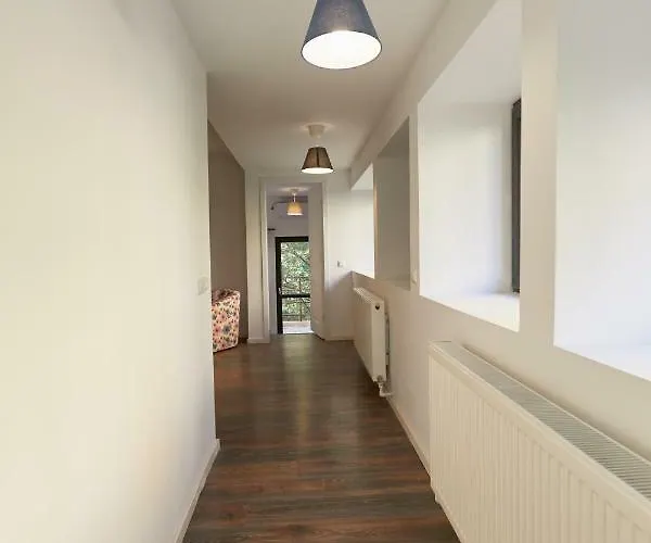 Stanford * Bucareste